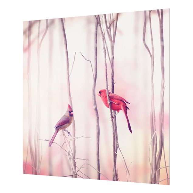 Glass Splashback - Birds on branches - Square 1:1