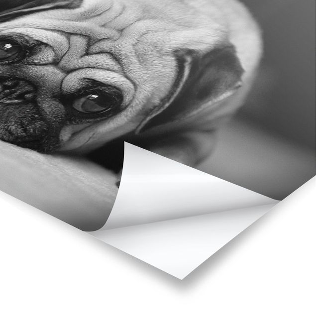 Poster - Pug Loves You II
