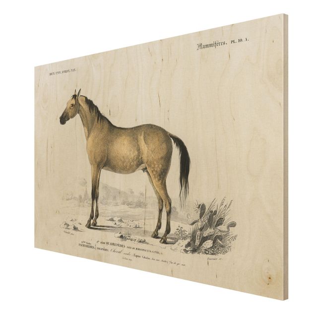 Print on wood - Vintage Board Horse