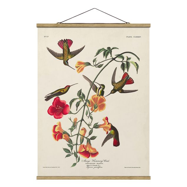 Fabric print with poster hangers - Vintage Board Mango Hummingbirds