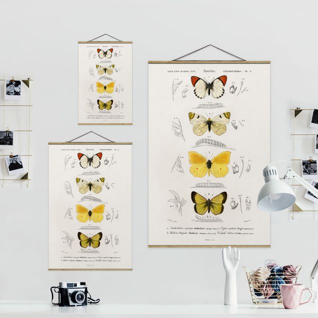 Fabric print with poster hangers - Vintage Board Butterflies II