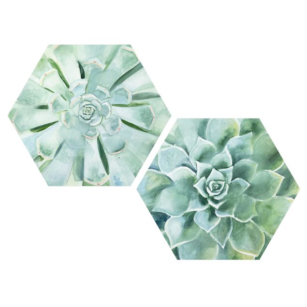 Forex hexagon - Succulent Watercolour Set I
