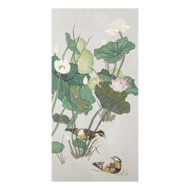 Print on aluminium - Vintage Illustration Of Lotus Flowers In The Pond