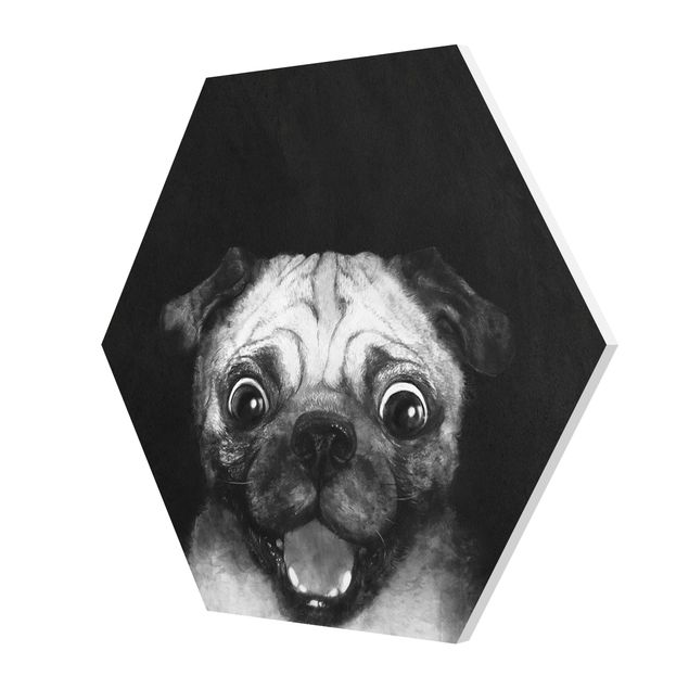 Forex hexagon - Illustration Dog Pug Painting On Black And White