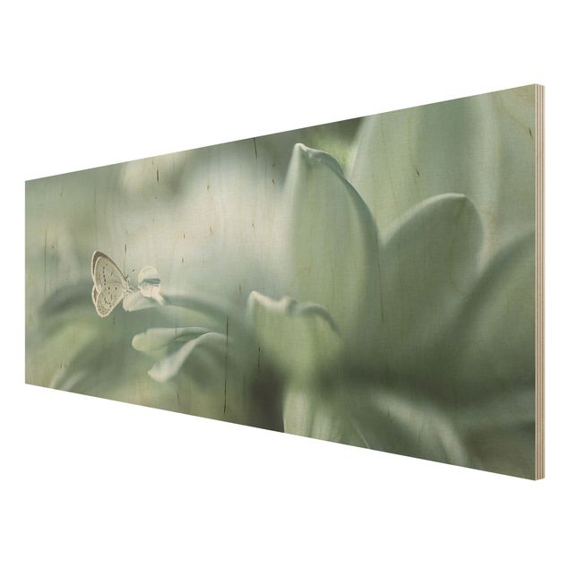 Wood print - Butterfly And Dew Drops In Pastel Green