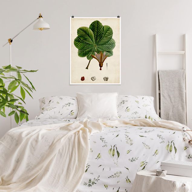Poster flowers - Deciduous Poster II
