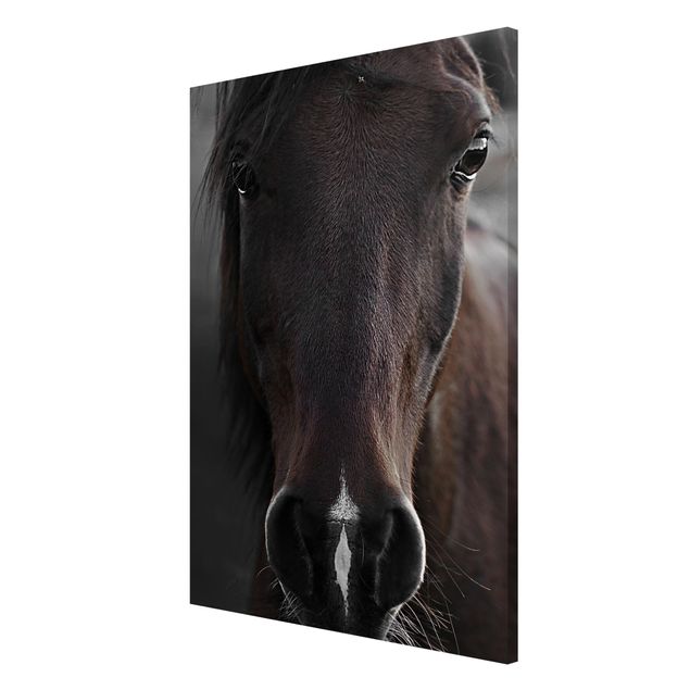Magnetic memo board - Dark Horse