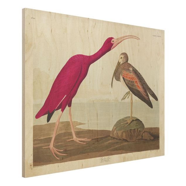 Print on wood - Vintage Board Red Ibis