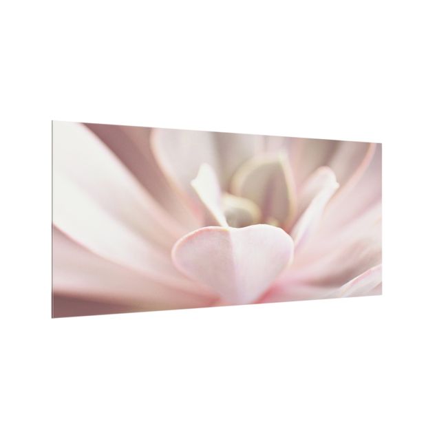 Splashback - Light Pink Succulent Flower - Landscape format 2:1