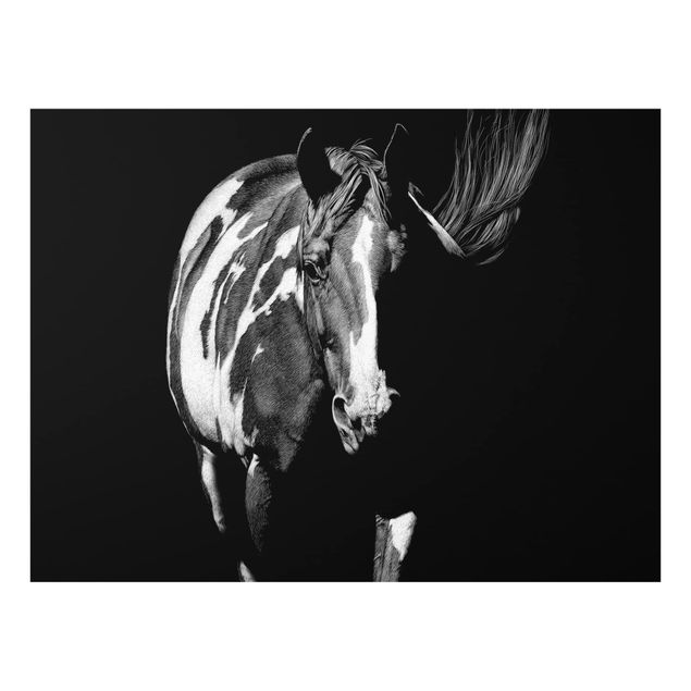 Glass Splashback - Horse In The Dark - Landscape 3:4