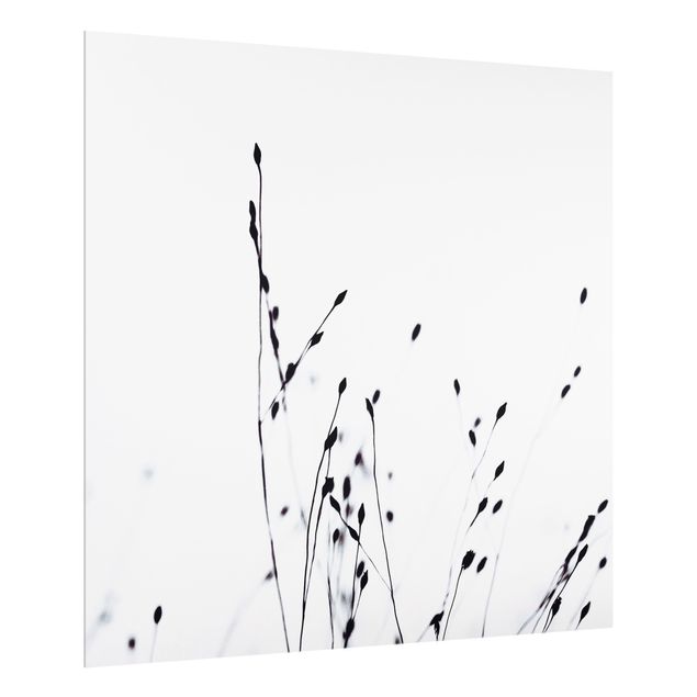 Splashback - Soft Grasses In Nearby Shadow - Square 1:1