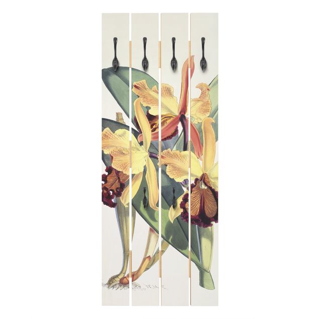 Coat rack - Walter Hood Fitch - Orchid
