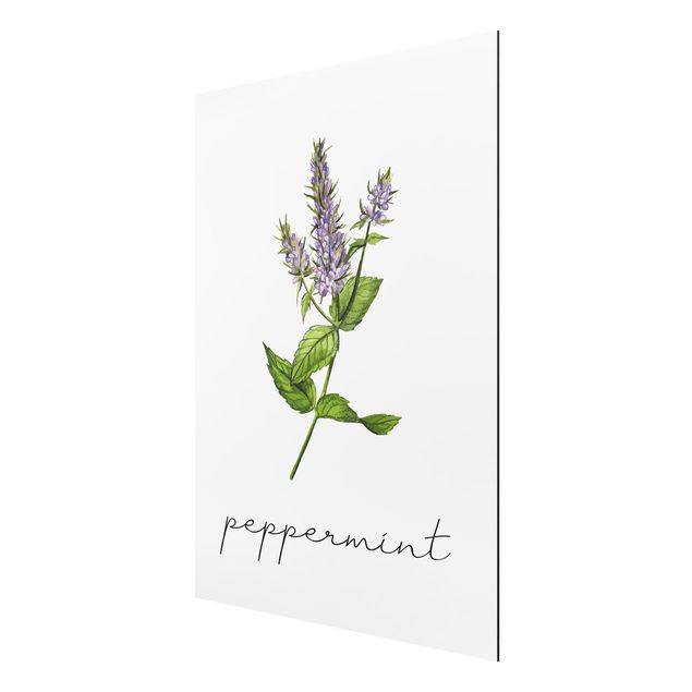 Print on aluminium - Herbs Illustration Pepper Mint