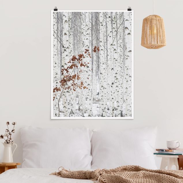 Poster forest - Birch Trees In Autumn