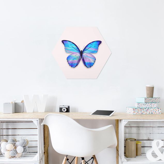 Forex hexagon - Holographic Butterfly