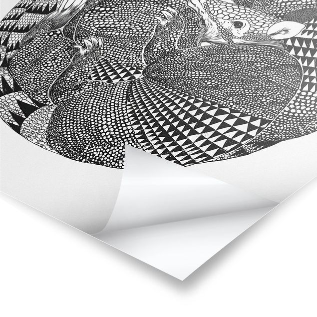 Poster - Illustration Armadillos Black And White Pattern