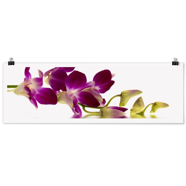 Poster - Pink Orchid Waters