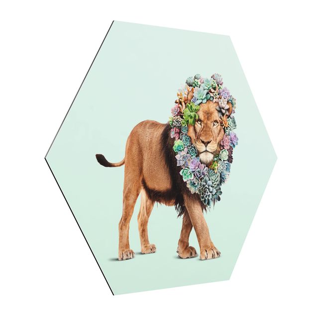 Alu-Dibond hexagon - Lion With Succulents