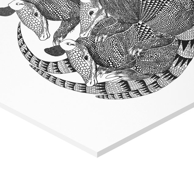 Forex hexagon - Illustration Armadillos Black And White Pattern