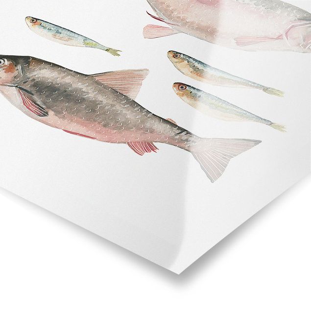 Poster kitchen - Seven Fish In Watercolour I