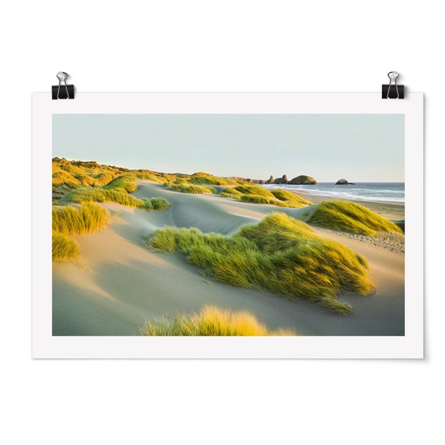 Poster - Dunes And Grasses At The Sea