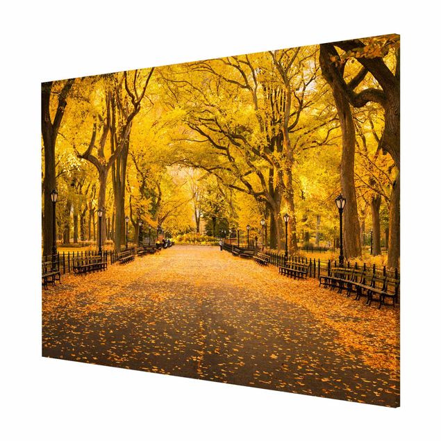 Magnetic memo board - Autumn In Central Park