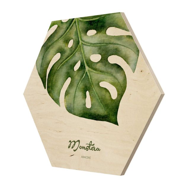 Wooden hexagon - Watercolour Botany Monstera