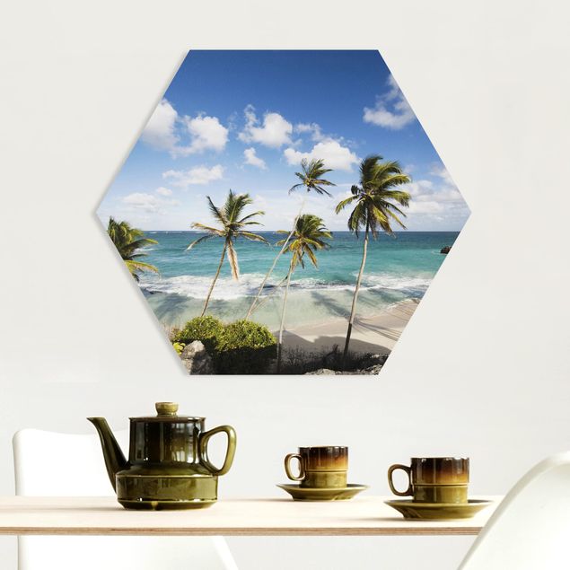 Forex hexagon - Beach Of Barbados