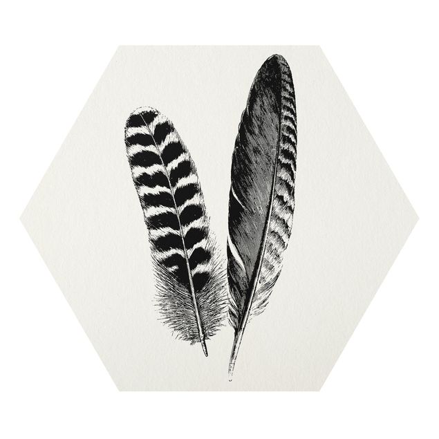 Forex hexagon - Two Feathers - Drawing