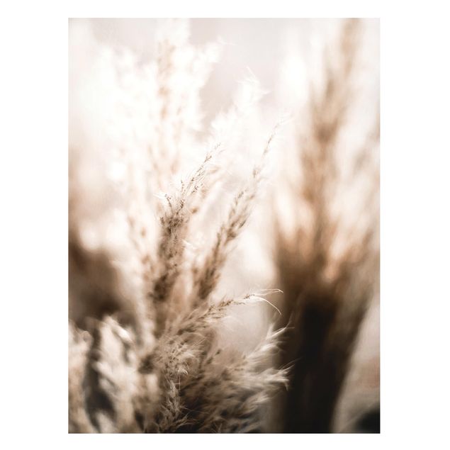Magnetic memo board - Pampas Grass In The Shadow