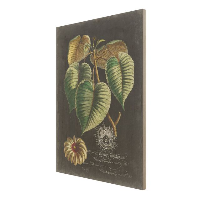 Print on wood - Vintage Royales Foliage On Black I