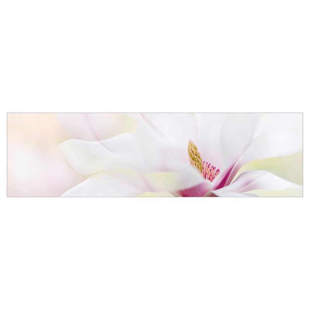 Kitchen wall cladding - Delicate Magnolia Blossom