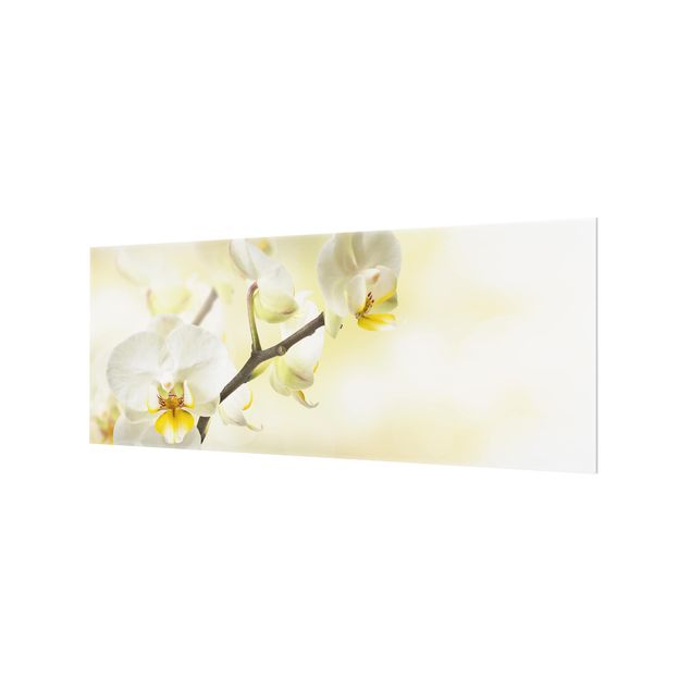 Splashback - Orchid Twig