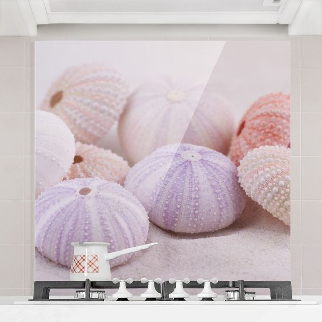 Glass splashback art print Urchin In Pastel