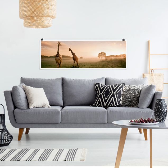 Panoramic poster animals - Surreal Giraffes