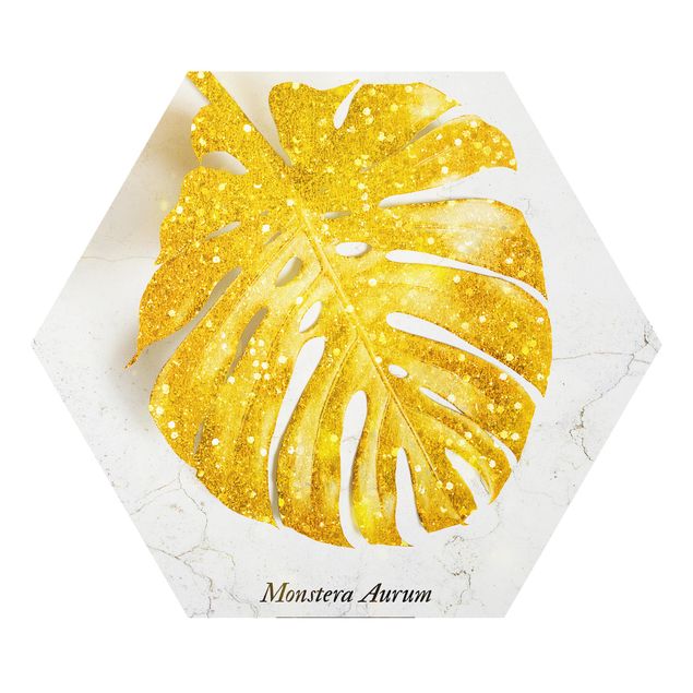 Forex hexagon - Gold - Monstera Aurum