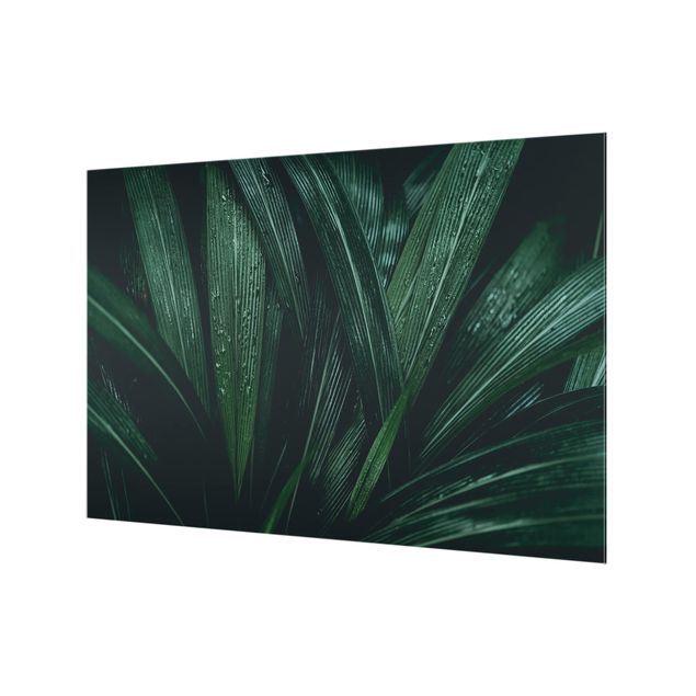 Splashback - Green Palm Leaves