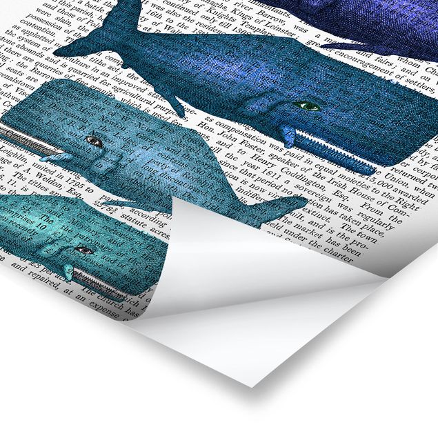 Poster - Animal Reading - Whale Family
