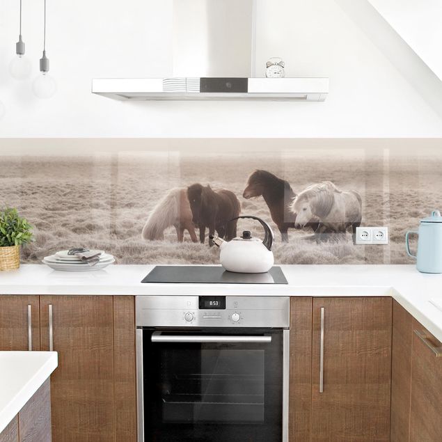 Kitchen wall cladding - Wild Icelandic Horse