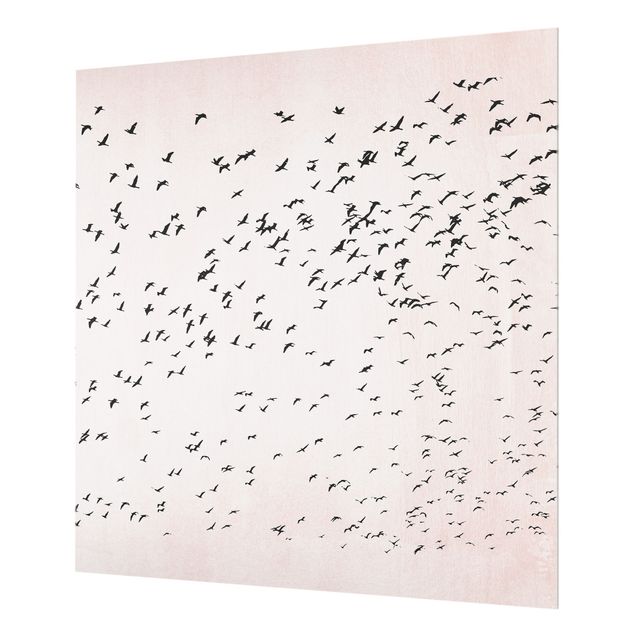 Splashback - Flock Of Birds In The Sunset - Square 1:1