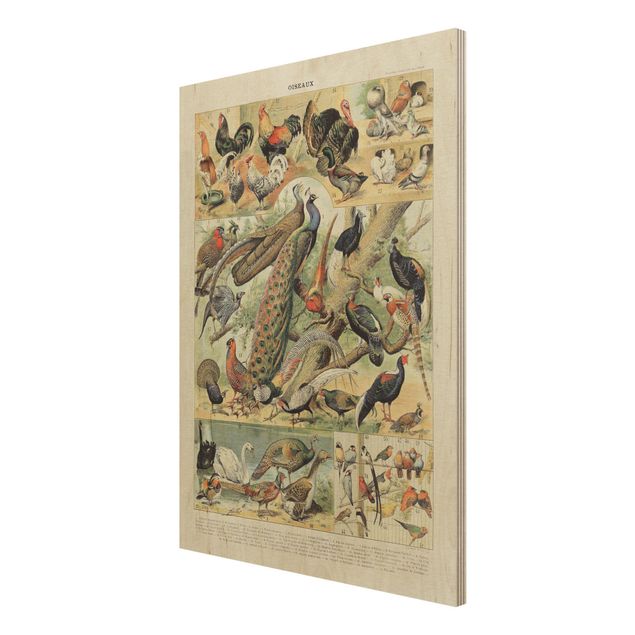 Print on wood - Vintage Board European Birds