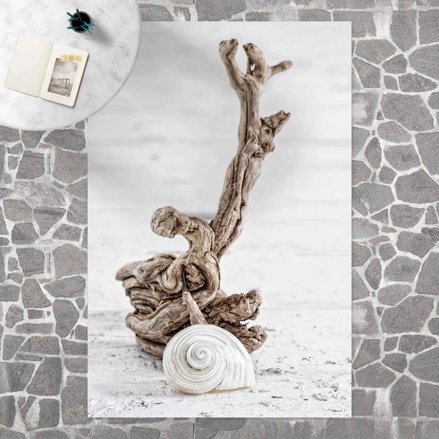 Balcony rugs White Snail Shell And Root Wood