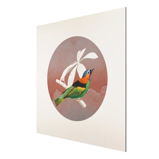 Print on aluminium - Bird Collage In A Circle ll
