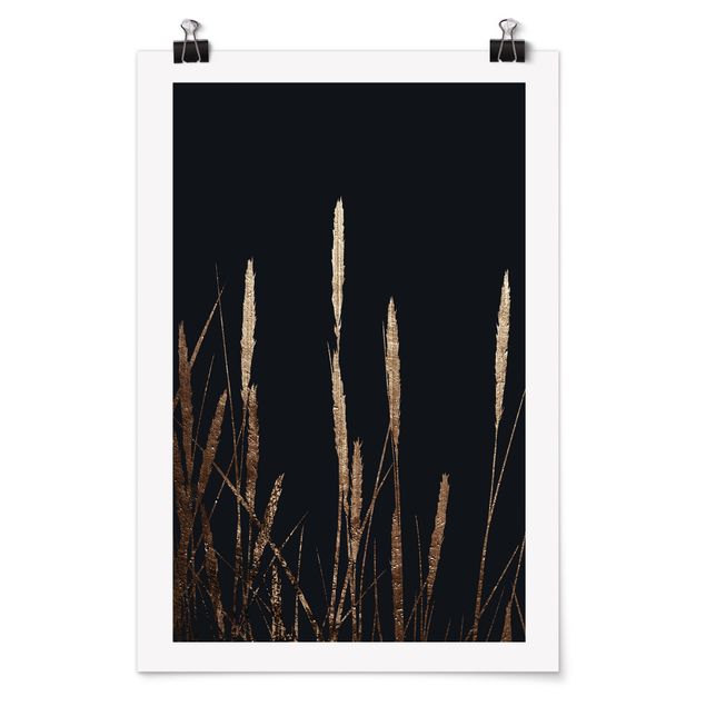 Poster - Graphical Plant World - Golden Reed