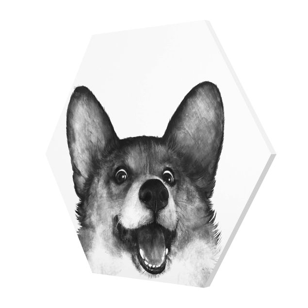 Forex hexagon - Illustration Dog Corgi Black And White Painting