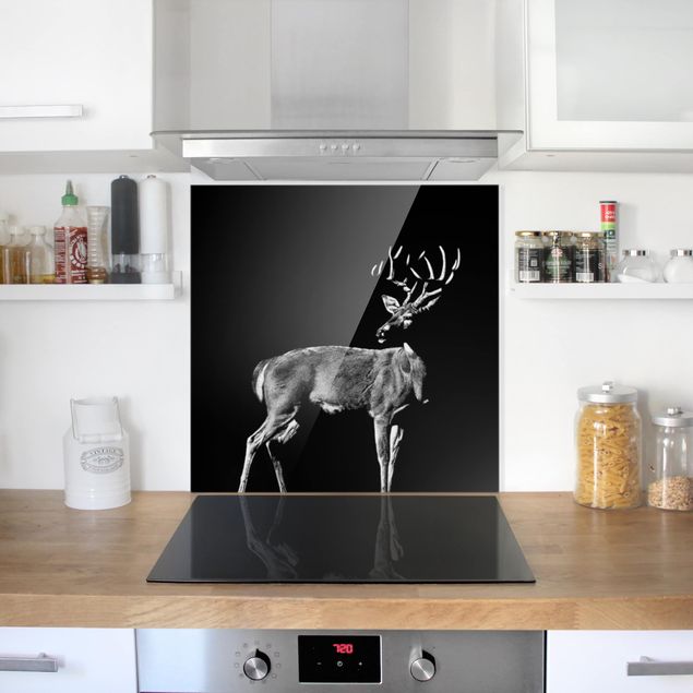 Glass splashback kitchen Deer In The Dark