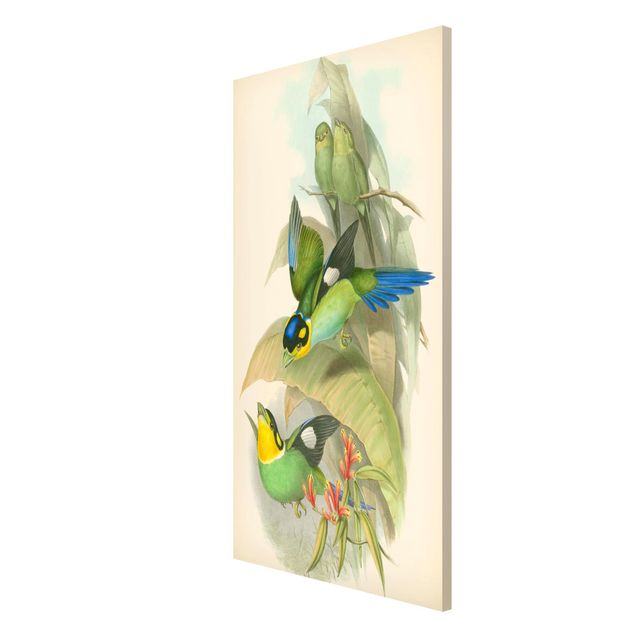 Magnetic memo board - Vintage Illustration Tropical Birds