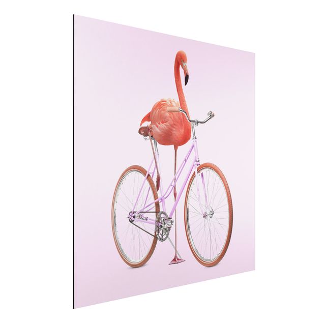 Alu dibond Flamingo With Bicycle