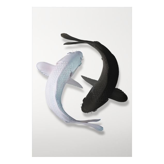 Print on aluminium - Fish Ying Yang