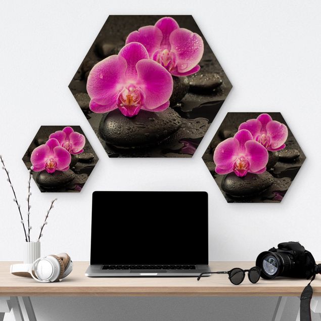 Hexagon Picture Wood - Pink Orchid Flowers On Stones With Drops